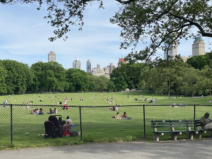 sheep-meadow-3.jpg